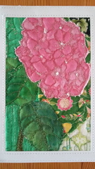 sobolewska jolanta hortensje 29927713246 o