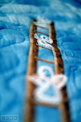 ov8a2213 34792469015 o