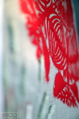 ov8a2220 34406450720 o